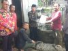 Kapolsek Semaka Hadiri Penyerahan Hasil Evakuasi Hewan Buaya ke BKSDA Bengkulu Lampung