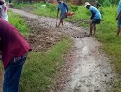 IMG-20250209-WA0005